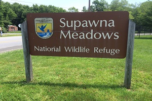 Supawna Meadows National Wildlife Refuge